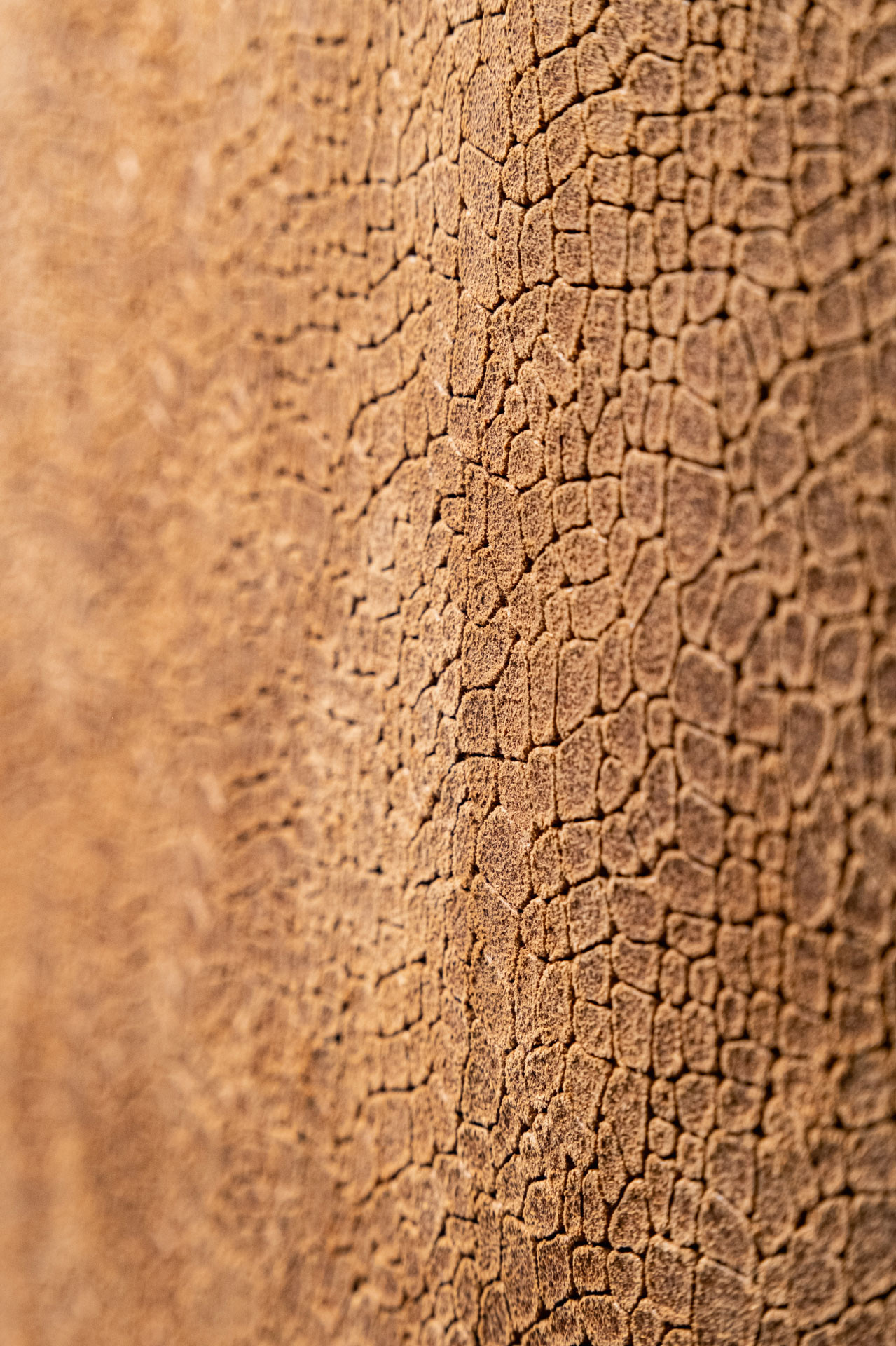 TERRA DESERT CAMEL